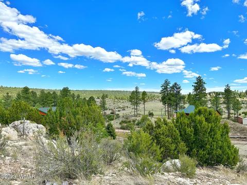 1820 Mus Heart Trl, Heber, AZ 85928