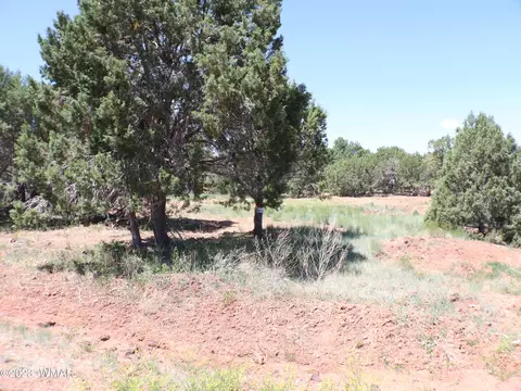 6717 Cheney Ranch Loop, Show Low, AZ 85901 photo 2