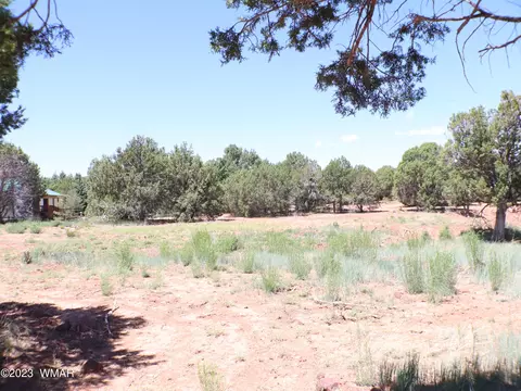 6717 Cheney Ranch Loop, Show Low, AZ 85901