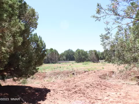 6717 Cheney Ranch Loop, Show Low, AZ 85901 photo 11