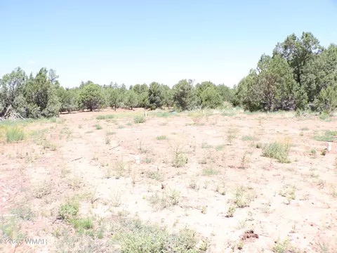 6717 Cheney Ranch Loop, Show Low, AZ 85901 photo 7