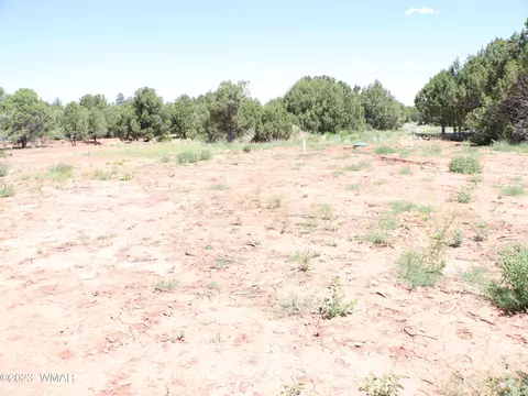 6717 Cheney Ranch Loop, Show Low, AZ 85901 photo 6