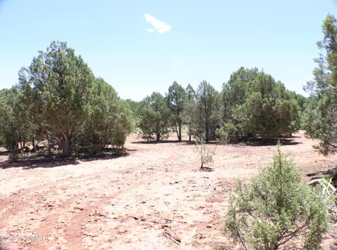 6717 Cheney Ranch Loop, Show Low, AZ 85901 photo 9