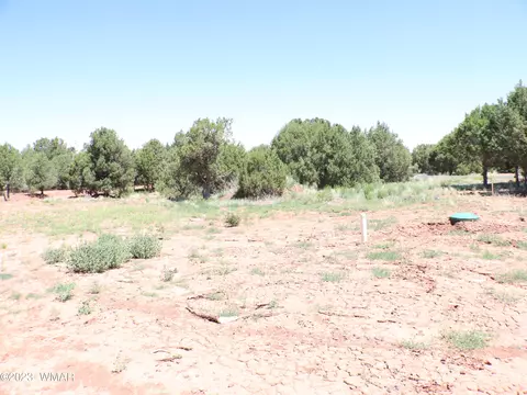 6717 Cheney Ranch Loop, Show Low, AZ 85901 photo 8