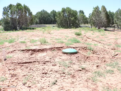 6717 Cheney Ranch Loop, Show Low, AZ 85901 photo 5