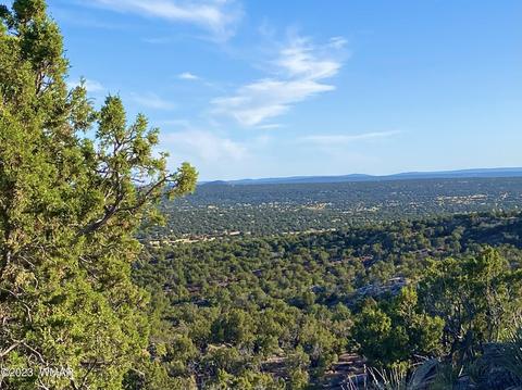 9338 Bluebell Ln, White Mountain Lake, AZ 85912