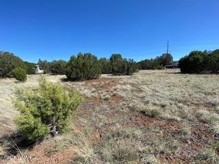8533 Canyon Dr, Show Low, AZ 85901