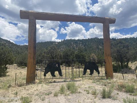 Tbd Highway 191 Bear Gate, Nutrioso, AZ 85932