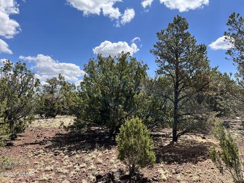 6 County Road 3202, Vernon, AZ 85940