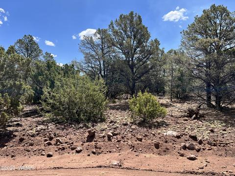 7 County Road 3202, Vernon, AZ 85940
