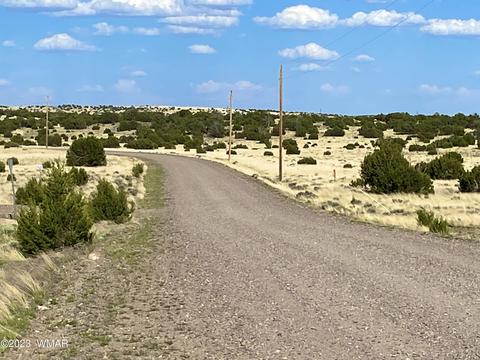 45 Co Rd 8643 74 Acres, Concho, AZ 85924
