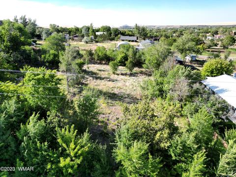 254 W 4th St, Eagar, AZ 85925 photo 5