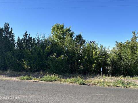 254 W 4th St, Eagar, AZ 85925 photo 2