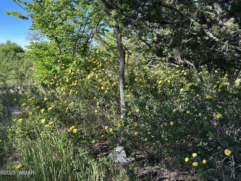 254 W 4th St, Eagar, AZ 85925 photo 4
