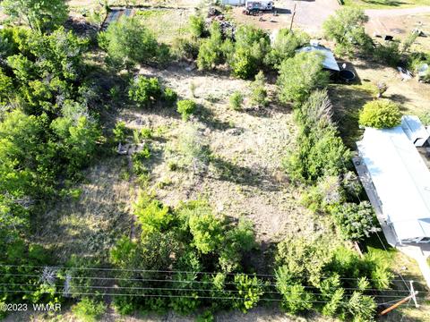 254 W 4th St, Eagar, AZ 85925 photo 6