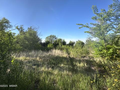 254 W 4th St, Eagar, AZ 85925 photo 3