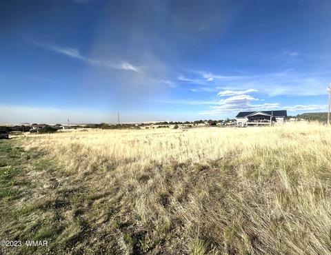 tbd Dorinda Dr, Eagar, AZ 85925