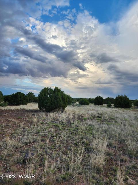 8510 Cannon Blvd, Show Low, AZ 85901