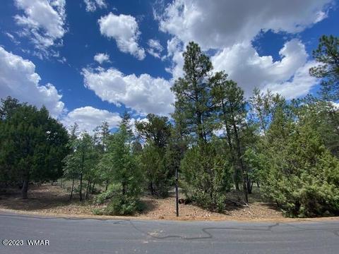 4100 W Red Twig Ln, Show Low, AZ 85901