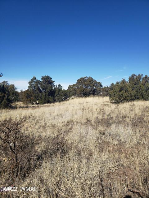 8546 Javelina Dr, Show Low, AZ 85901