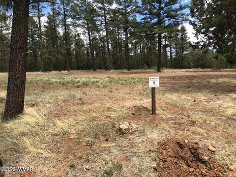 2420 W Whispering Springs Rd, Show Low, AZ 85901