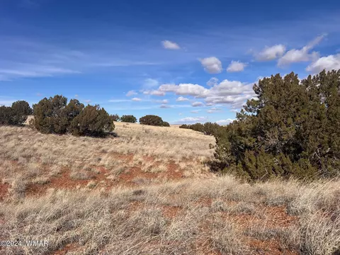tbd Poplar St, Snowflake, AZ 85937