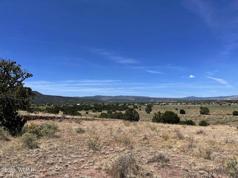 tbd Rogers Ranch Rd, Springerville, AZ 85938