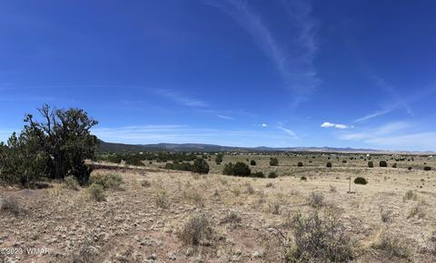 tbd Rogers Ranch Rd, Springerville, AZ 85938 photo 3