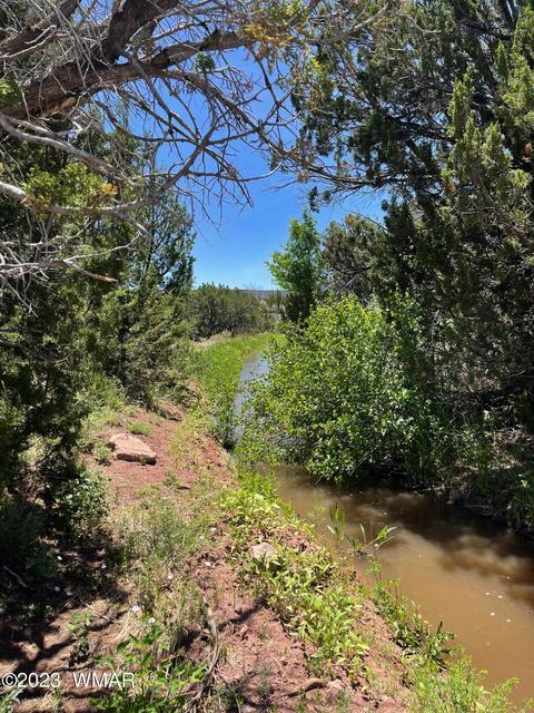 tbd Rogers Ranch Rd, Springerville, AZ 85938 photo 4