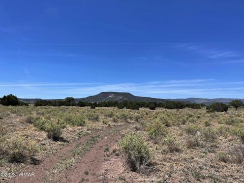tbd Rogers Ranch Rd, Springerville, AZ 85938 photo 2