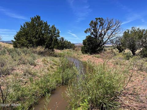 tbd Rogers Ranch Rd, Springerville, AZ 85938 photo 5