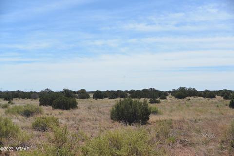 9834 Hansa Trl, Snowflake, AZ 85937