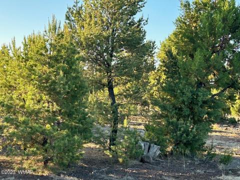 lot26 Uphill Dr, Vernon, AZ 85940