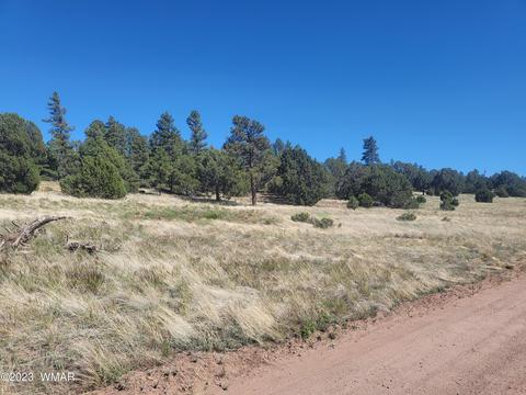 00 Capps Ranch Rd, Pinedale, AZ 85934