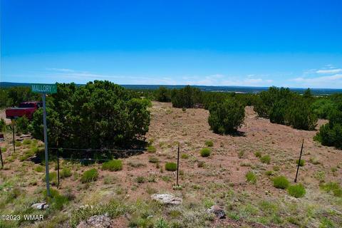 2174 Sitgreaves St, Show Low, AZ 85901