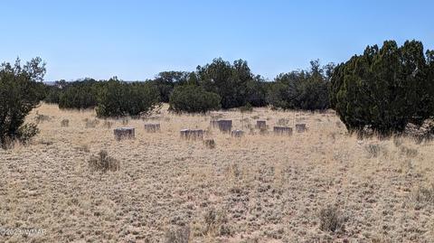 lot362 Red Sky Rnch, Saint Johns, AZ 85936