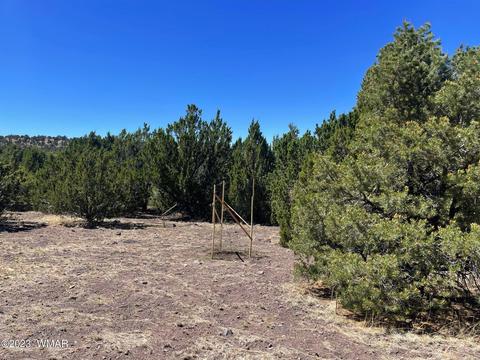 1762 W Snowline Dr, Eagar, AZ 85925 photo 33