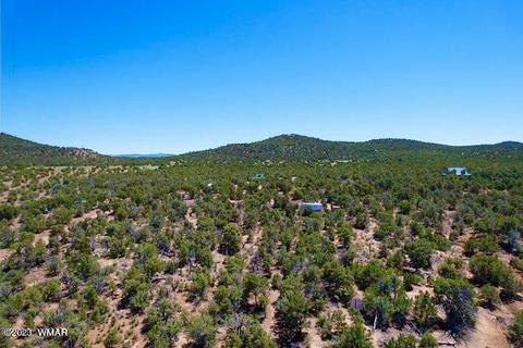 23 County Road 3037, Vernon, AZ 85940