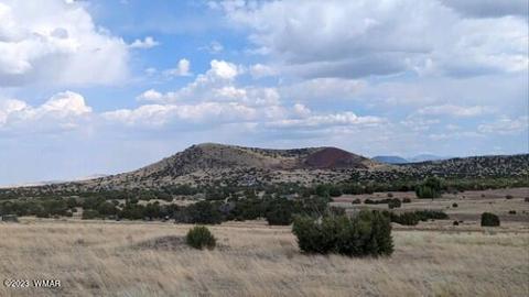 9 County Rd 5084, Concho, AZ 85924