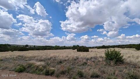 9 County Rd 5084, Concho, AZ 85924 photo 3