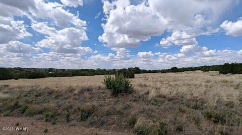 9 County Rd 5084, Concho, AZ 85924 photo 4