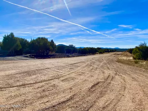 47 County Rd, Vernon, AZ 85940 photo 12