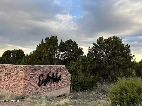47 County Rd, Vernon, AZ 85940 photo 4