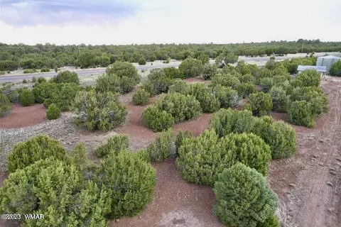 47 County Rd, Vernon, AZ 85940 photo 7