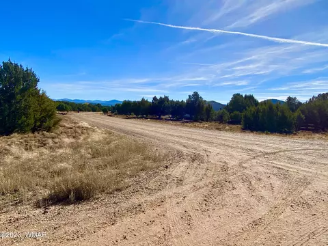 47 County Rd, Vernon, AZ 85940 photo 6