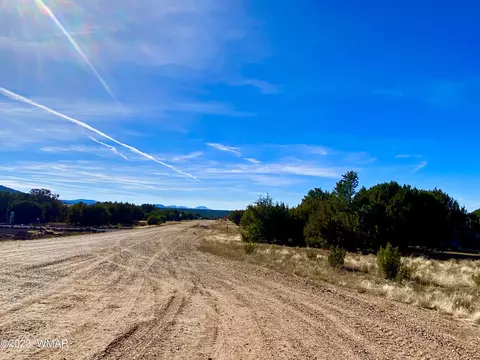 47 County Rd, Vernon, AZ 85940 photo 8