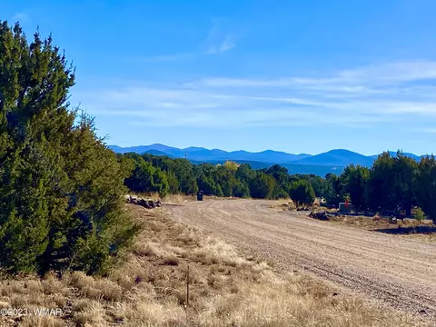 47 County Rd, Vernon, AZ 85940