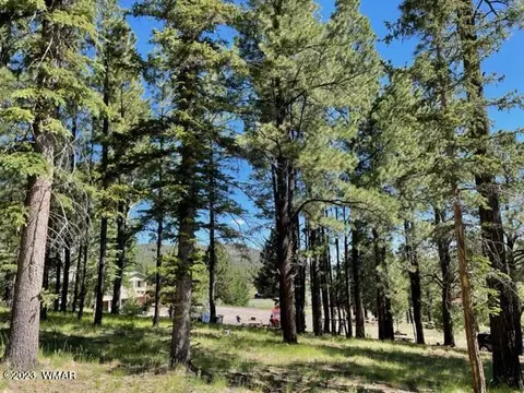 2 N 1102 Dr, Greer, AZ 85927