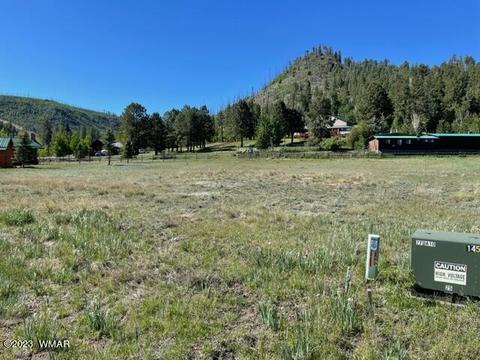 19 Greer Mountain Dr, Greer, AZ 85927