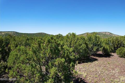 66 County Road 3198, Vernon, AZ 85940